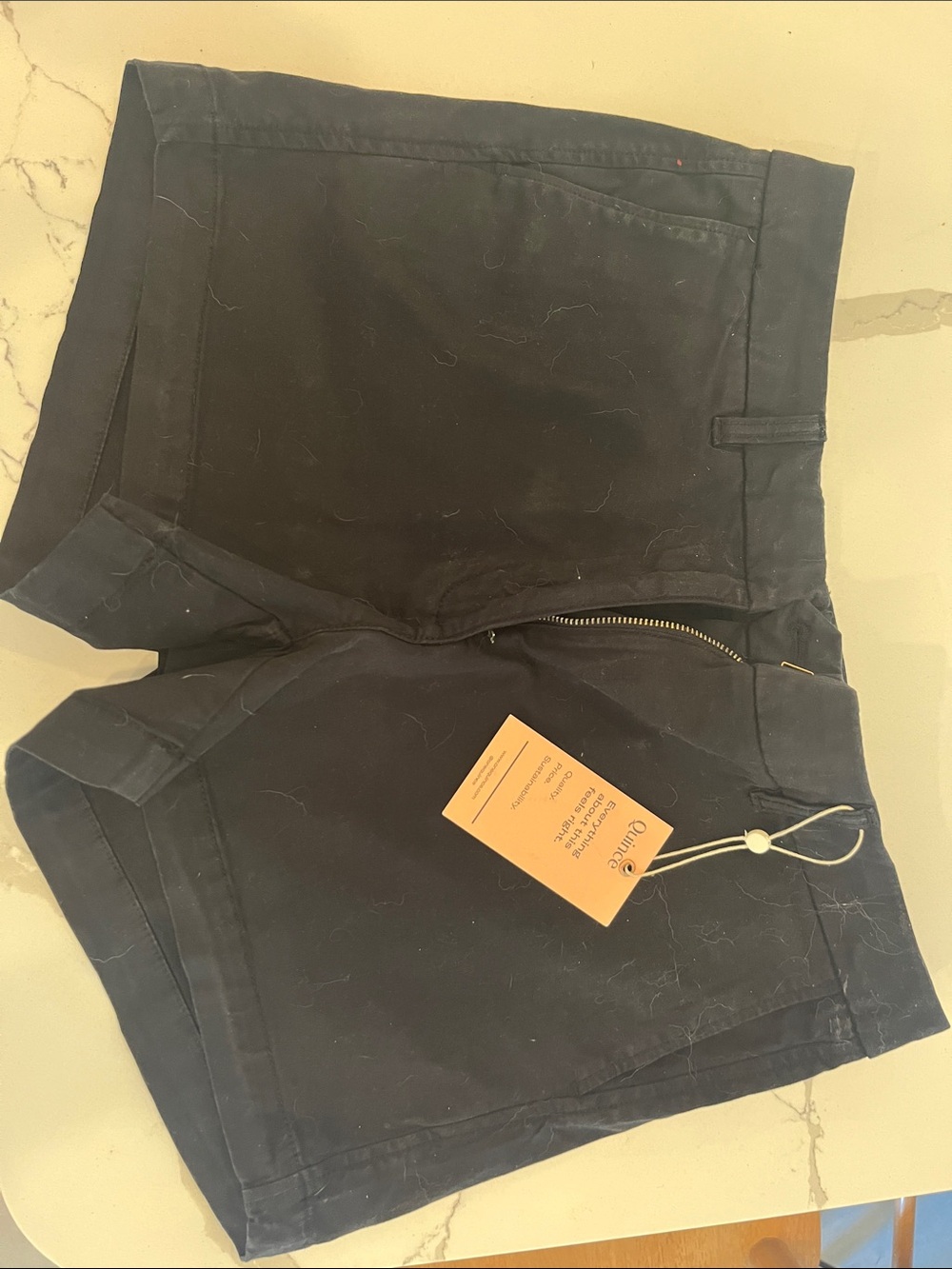 Quince Women's Black Shorts